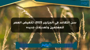 سن التقاعد في الجزائر 2025: تخفيض العمر للمعلمين وتعديلات جديدة